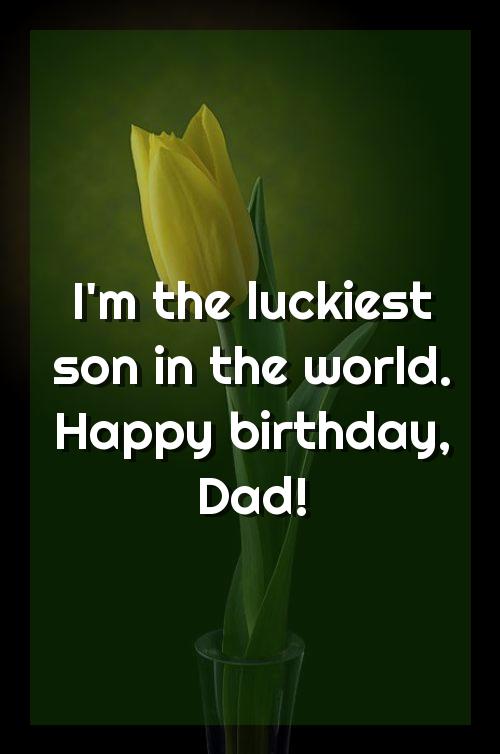 few lines about father birthday